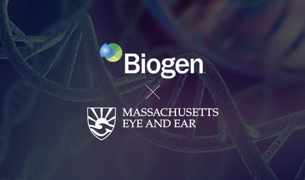 하버드 대학 병원과 Biogen 제약사, 망막색소변성증 PRPF31 유전자 치료제 개발 미리보기 이미지