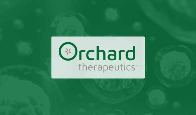 Orchard 제약사, 헐러&샤이에 증후군의 유전자 치료제 라이센스 계약 체결 미리보기 이미지