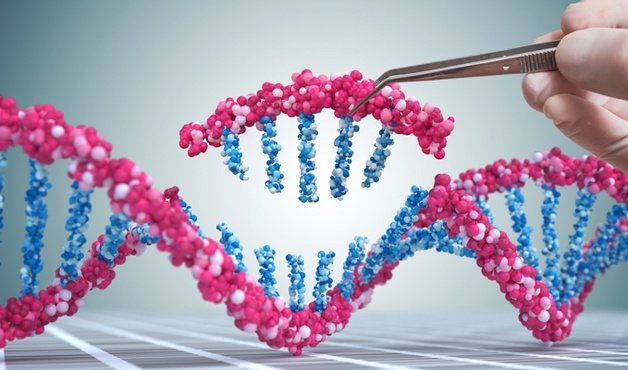 유전자 편집 기술 CRISPR-Cas9, 루게릭병에 대한 새로운 치료법 제시 미리보기 이미지