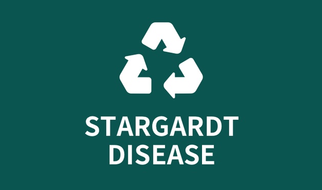독성 축적 물질을 표적으로 한 스타가르트 신약 개발 - 2016년 ARVO 발표 미리보기 이미지